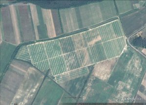 снимок из программы Google Earth